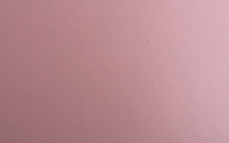 红粉佳人